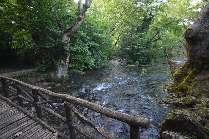 Thessaloniki to Naoussa, Wine Tasting Tour – Private Day Trip - Questions About Staying Here