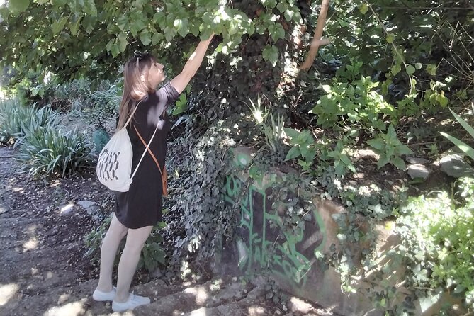 Thessaloniki Upper Town Culture and Nature Herbal Walk - Meeting and Pickup