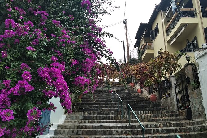 Thessaloniki Upper Town Culture and Nature Herbal Walk - Exploring Thessalonikis Nature