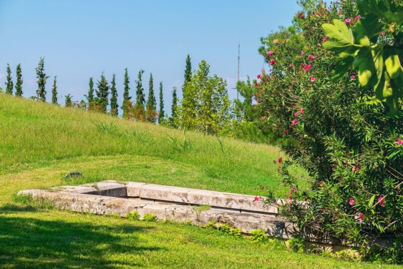 Thessaloniki: Vergina and Pella Day Trip - Customer Feedback