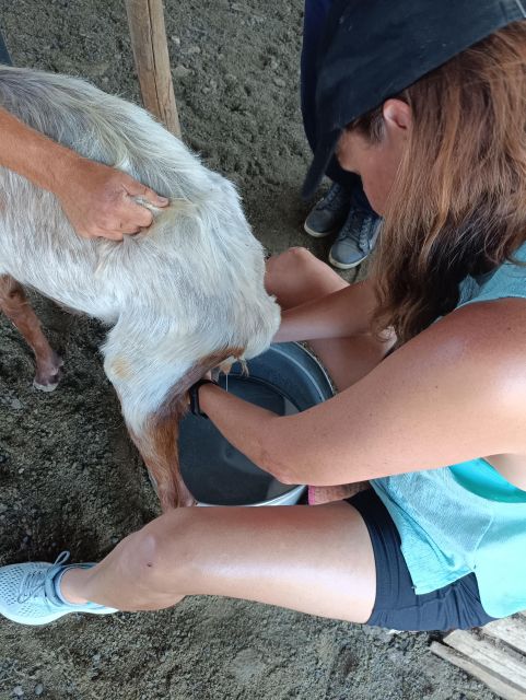 Thessaloniki: Visit a Farm and a Traditional Village - Customer Reviews