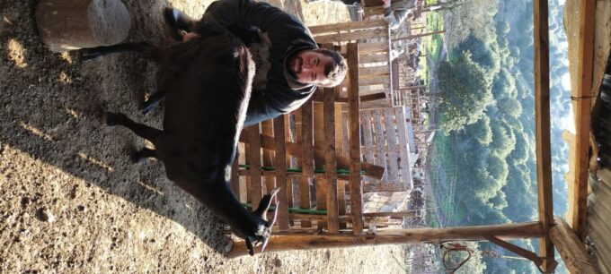 Thessaloniki: Visit a Farm and a Traditional Village - Exploring the Traditional Farm