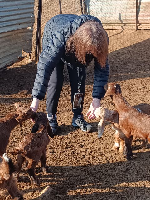 Thessaloniki: Visit a Farm and a Traditional Village - Discovering the Charming Village