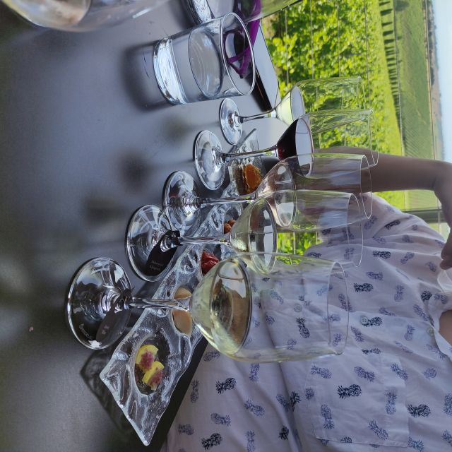 Thessaloniki: Winery Visit With Wine Tasting Experience - Discovering Authentic Greek Wine Flavors