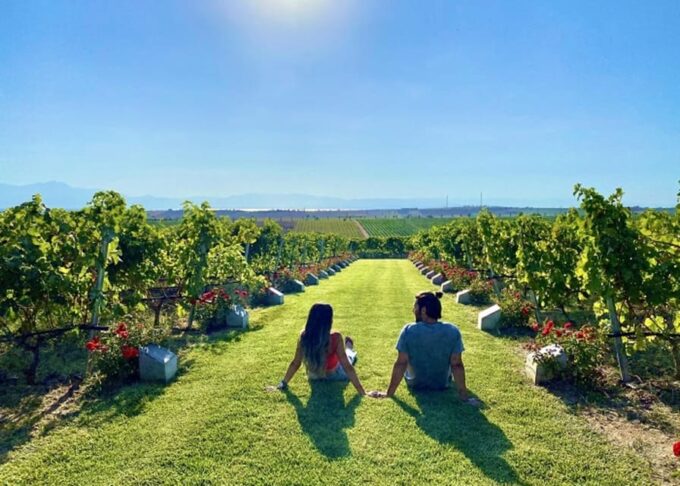 Thessaloniki:Private Wine Tour to Ktima Gerovassiliou - Wine Tasting Experiences