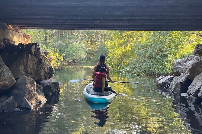 Thetis Lake Stand Up Paddle Boarding - Returning to the Meeting Point
