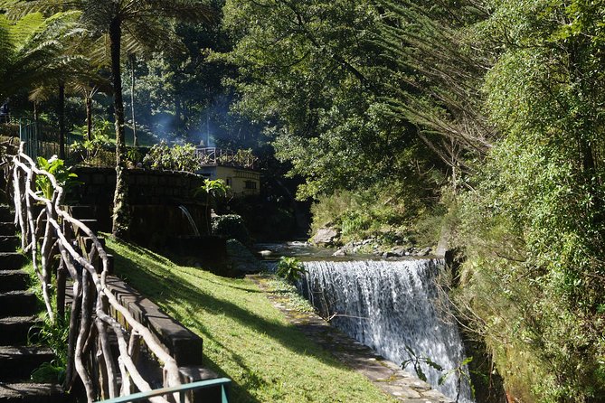 Things to Do in Santana - Explore the Traditional Houses