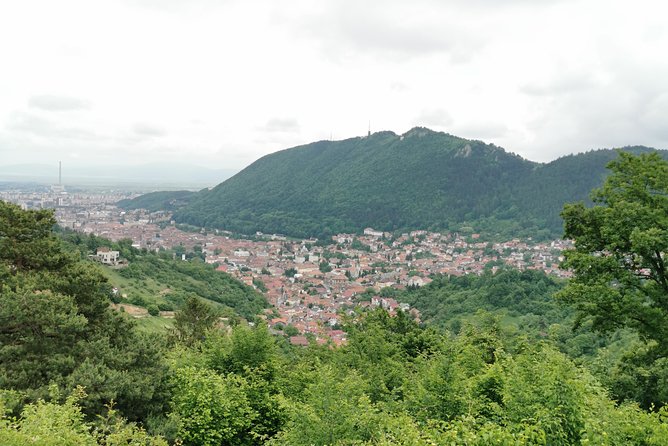 Things to Do, Transylvania & Draculas Castle Tour in One Day! - Personalized Small-Group Experience