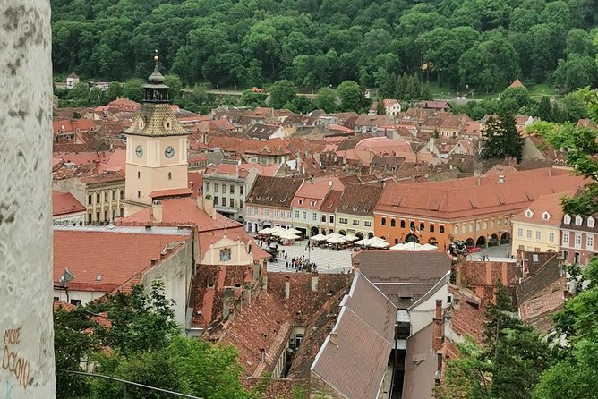 Things to Do, Transylvania & Draculas Castle Tour in One Day! - Comfortable Transportation and Guides