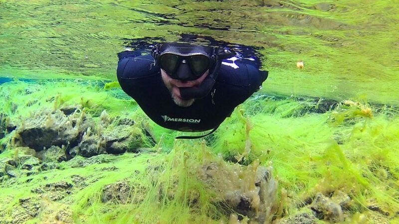 Thingvellir: Silfra Freedive Adevnture With a Guide - Navigating the Tectonic Plates