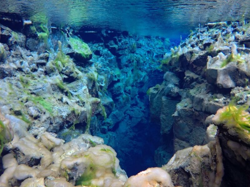 Thingvellir: Silfra Freedive Adevnture With a Guide - Safety Considerations for Participants