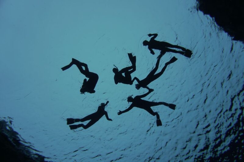Thingvellir: Silfra Freedive Adevnture With a Guide - Customer Reviews and Feedback