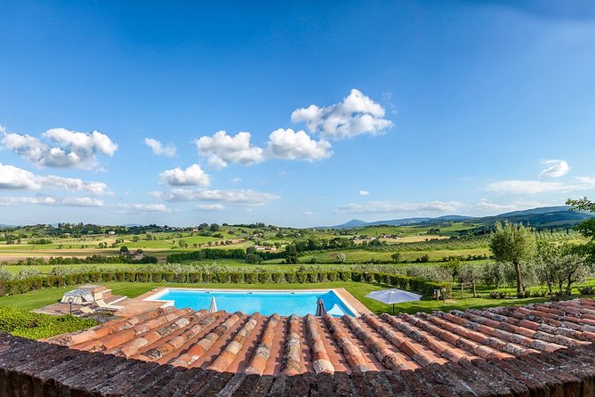 Think of a Romantic Meal in the Olive Trees Shade, Accompanied by Tuscan Wines! - Pairing Tuscan Wines
