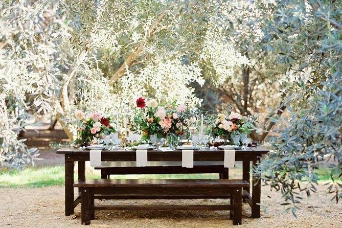 Think of a Romantic Meal in the Olive Trees Shade, Accompanied by Tuscan Wines! - Meeting Point and Location