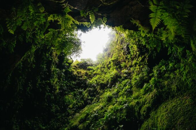 Third: Algar Do Carvão Lava Caves Tour - Customer Feedback