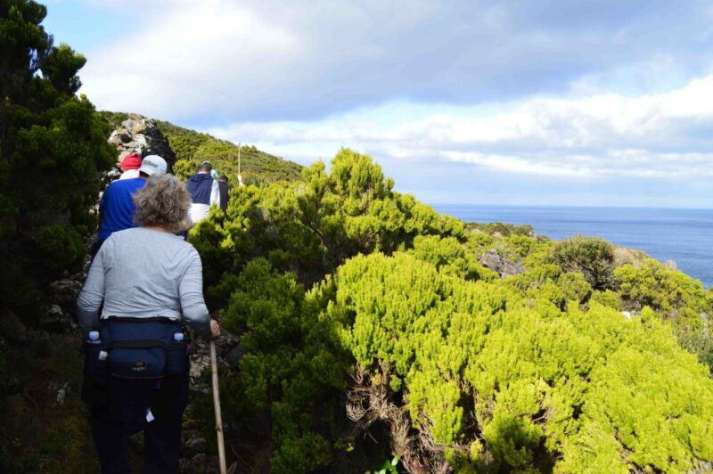 Third: Azores Half Day Hike - Pickup and Logistics