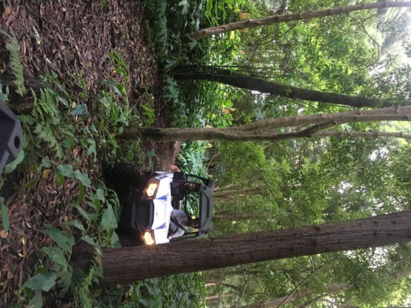 Third: Buggy Tour 4x4 West Side Azores Retreat - Key Points