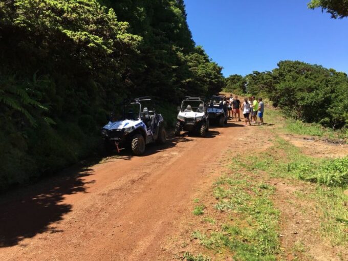 Third: Buggy Tour 4x4 West Side Azores Retreat - Terrain and Landscape Exploration