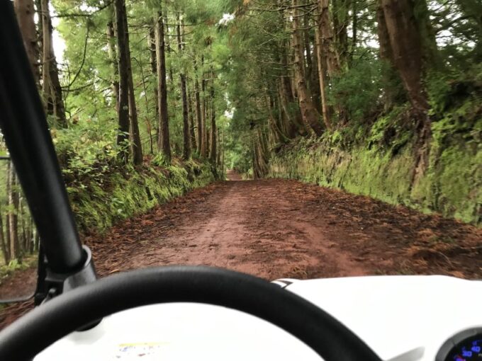 Third: Buggy Tour 4x4 West Side Azores Retreat - Utility Task Vehicle (UTV) Ride