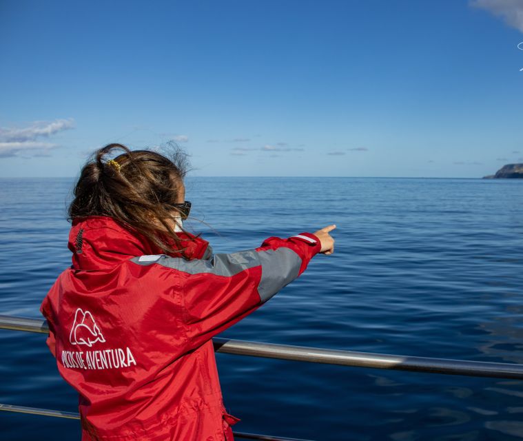 Third: Half-Day Dolphin and Whale Watching Tour - Key Points
