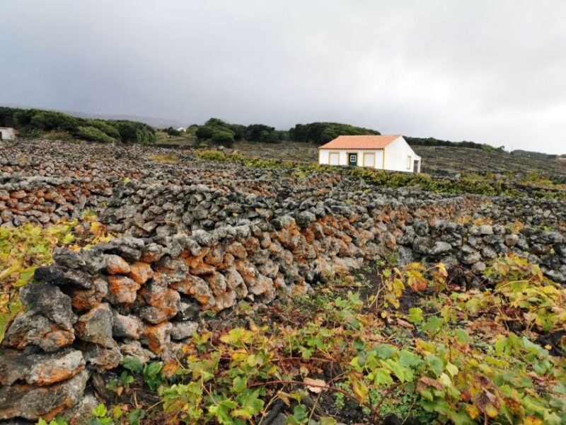Third Island: Best of Third Island Tour With Lunch - Lunch and Local Cuisine