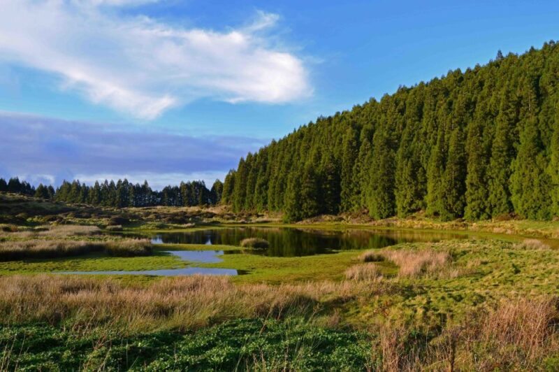 Third Island: Black Mysteries Hike - Availability of Meal Options