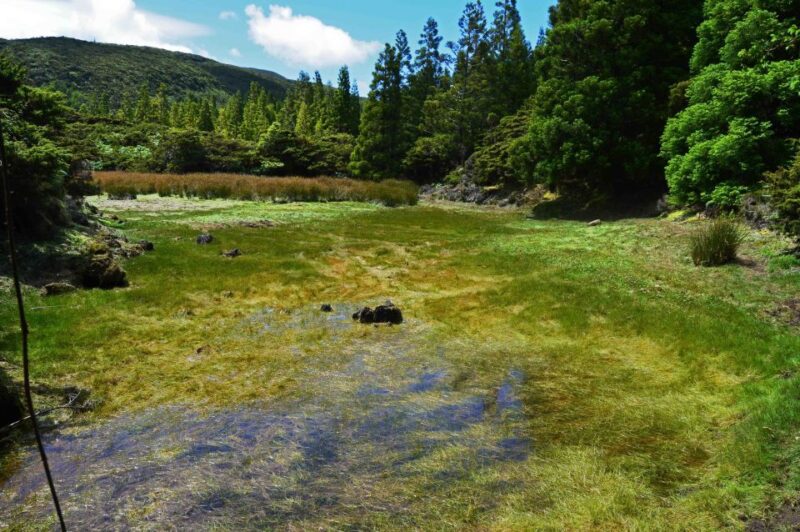 Third Island: Black Mysteries Hike - Tour Inclusions and Logistics