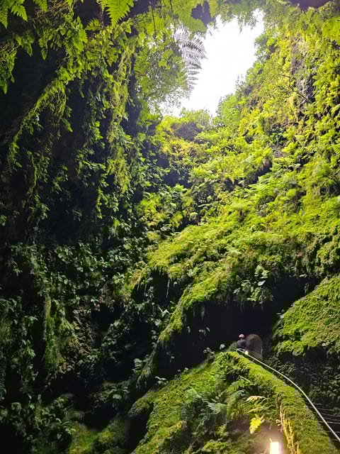 Third Island Caves: the Lava Route With Entrances & Wine - Geological Exploration