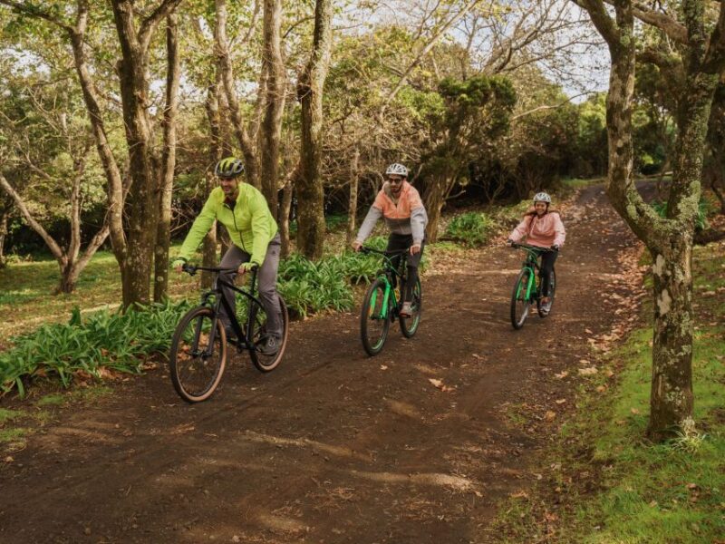 Third Island: MTB - Beginner Level - Key Points
