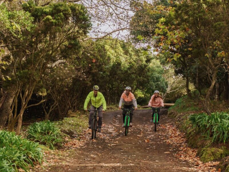Third Island: MTB - Beginner Level - Inclusions