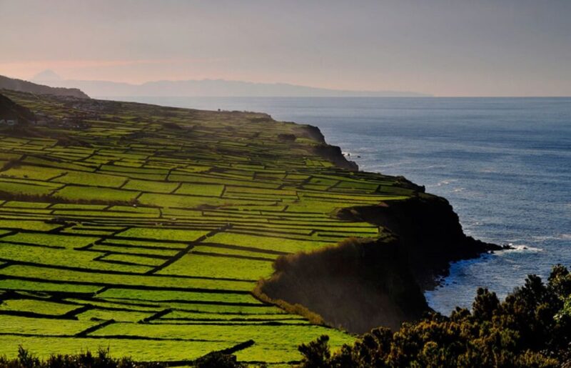 Third Island Whale Watching and Jeep Tour - Whale Watching on Terceira Island
