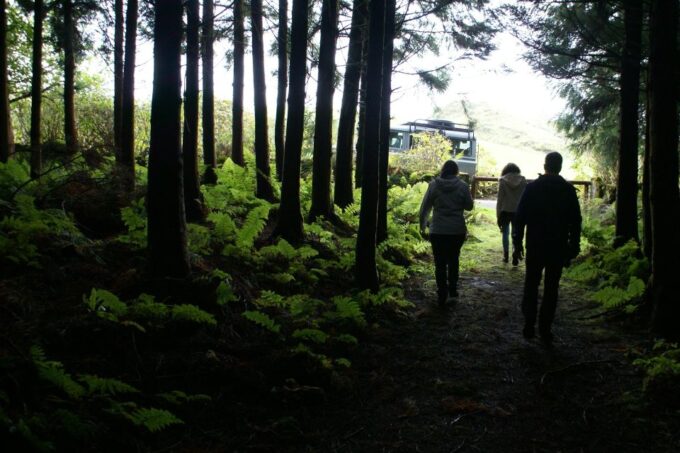 Third Island Whale Watching and Jeep Tour - Jeep Tour of Terceira Island