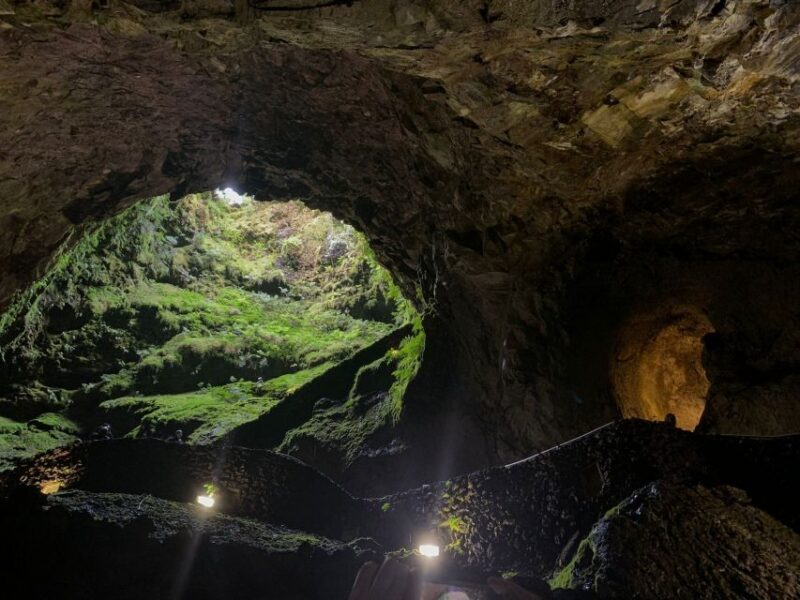 Third - Private Group - Half Day Guided Bus Tour - Tour Experience