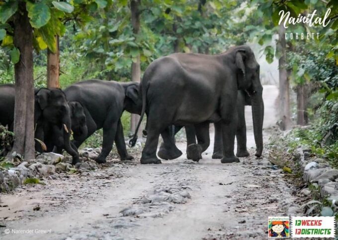 This 2-Day Tiger Safari Tour of Jim Corbett National Park - Frequently Asked Questions