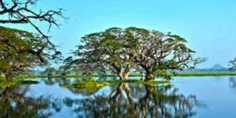 Thissa Lake Boat Safari - Key Points