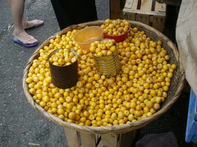 .Thorough City Market Visit Hands On Mexican Cooking & Lunch - Flavors, Textures, and Sounds of Mexican Cuisine