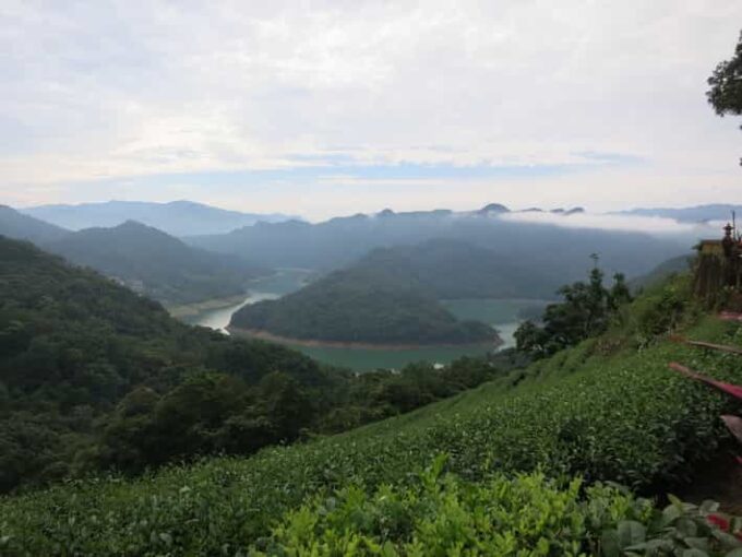 Thousand Island Lake and Pinglin Tea Plantation From Taipei - Pinglin Tea Plantation and Museum