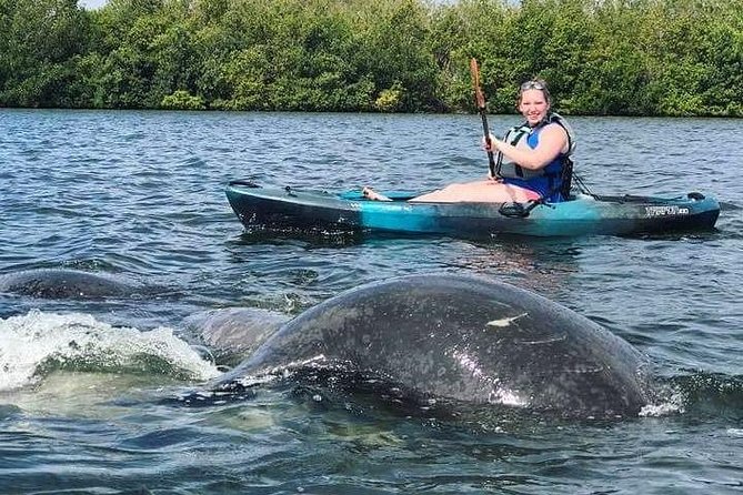 Thousand Island Mangrove Tunnel, Manatee & Dolphin Kayak Tour W/Cocoa Kayaking - Reviews