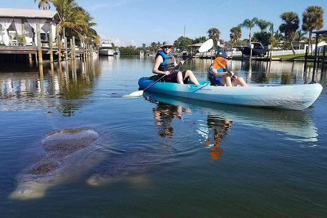 Thousand Island Mangrove Tunnel, Manatee & Dolphin Kayak Tour W/Cocoa Kayaking - Special Offer