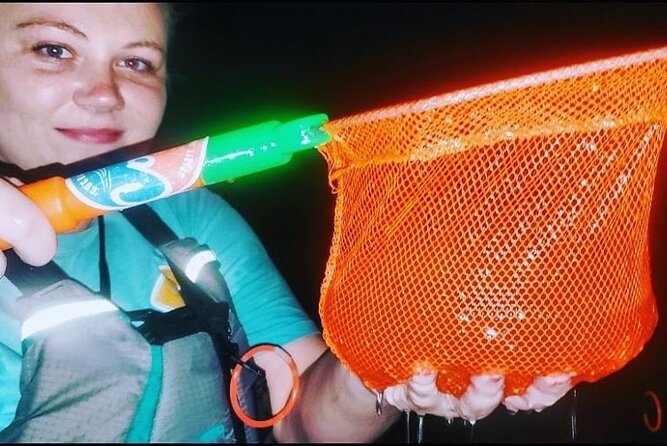 Thousand Islands Mangrove Tunnel & Bio Comb Jelly Sunset Tour - Observe Bioluminescent Comb Jellies