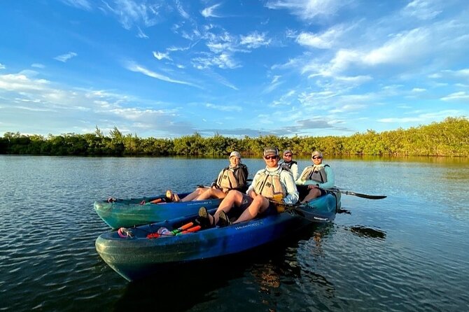 Thousand Islands Mangrove Tunnel & Bio Comb Jelly Sunset Tour - Local Ecosystem Insights