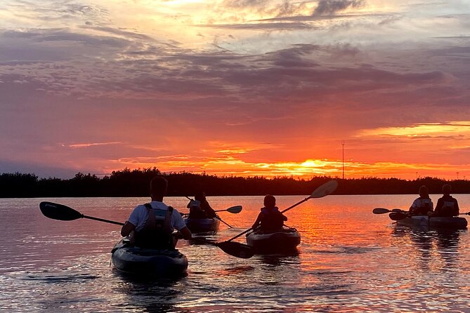 Thousand Islands Mangrove Tunnel & Bio Comb Jelly Sunset Tour - Photos Delivered by Email