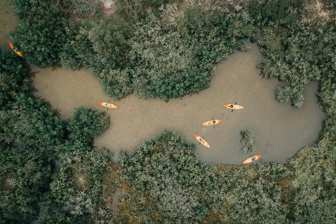 Thousand Islands Mangrove Tunnel Kayak Tour With Cocoa Kayaking! - Safety Considerations
