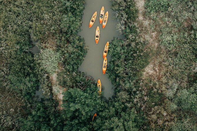 Thousand Islands Mangrove Tunnel Kayak Tour With Cocoa Kayaking! - Feedback From Previous Participants