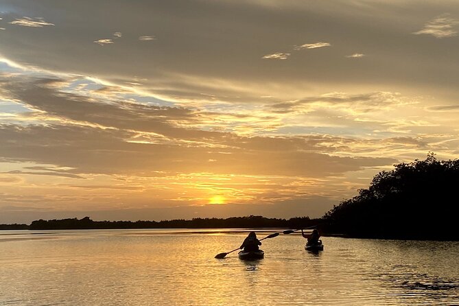 Thousand Islands Mangrove Tunnel Sunset Kayak Tour With Cocoa Kayaking! - Meeting and Pickup