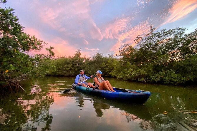Thousand Islands Mangrove Tunnel Sunset Kayak Tour With Cocoa Kayaking! - Conservation Efforts