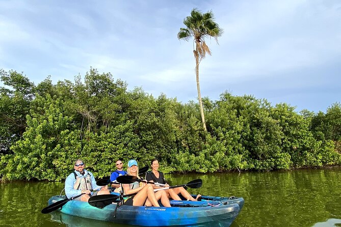 Thousand Islands Mangrove Tunnel Sunset Kayak Tour With Cocoa Kayaking! - Wildlife Sightings