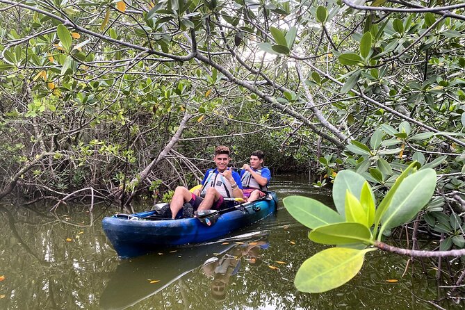 Thousand Islands Mangrove Tunnel Sunset Kayak Tour With Cocoa Kayaking! - Accessibility and Restrictions