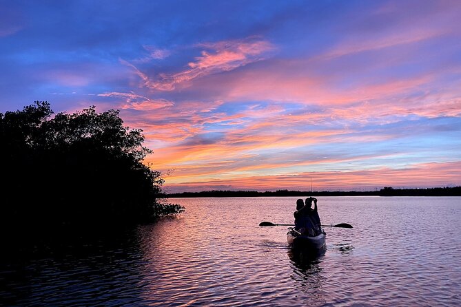 Thousand Islands Mangrove Tunnel Sunset Kayak Tour With Cocoa Kayaking! - Review Highlights