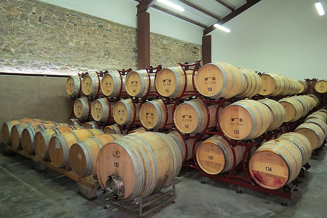 Thracian Valley Wine Tasting - Private Day Tour From Plovdiv - Traditional Bulgarian Snacks and Wines